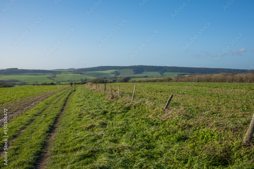 Obraz premium Walking on the Southdown Way