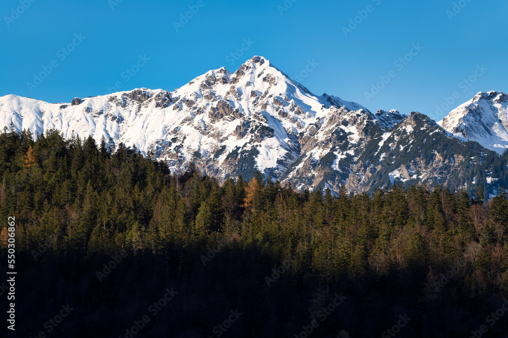 Wonderful snow covered mountain under a blue bright sky and a forest in the foreground - Alps
