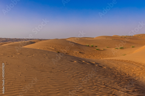 The vastness of the Wahiba Sands Desert in Oman photo
