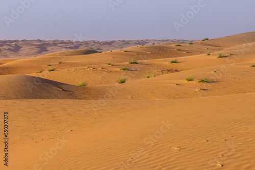 The vastness of the Wahiba Sands Desert in Oman photo