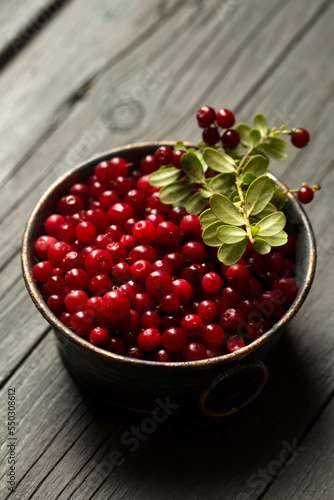 fresh lingonberry berries