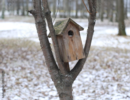Fotobehang A wooden birdhouse is fixed between the branches of a tree
