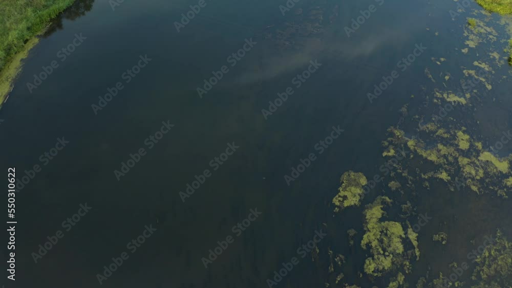Fog morning over the plain and river floodplain of the meadow near a rural village with a house, aerial view landscape drone video Fog morning over the plain and river floodplain of the meadow near a rural village with a house, aerial view landscape drone video