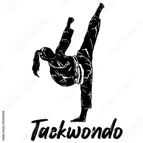 TAEKWONDO ILLUSTRATION LOGO ICON