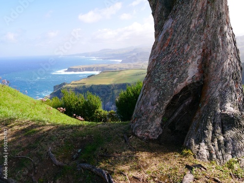 Photo panoramique sur les falaises de la baie de Santa Iria sur l'océan atlantique dans l'île de Sao Miguel dans l'archipel des Açores au Portugal