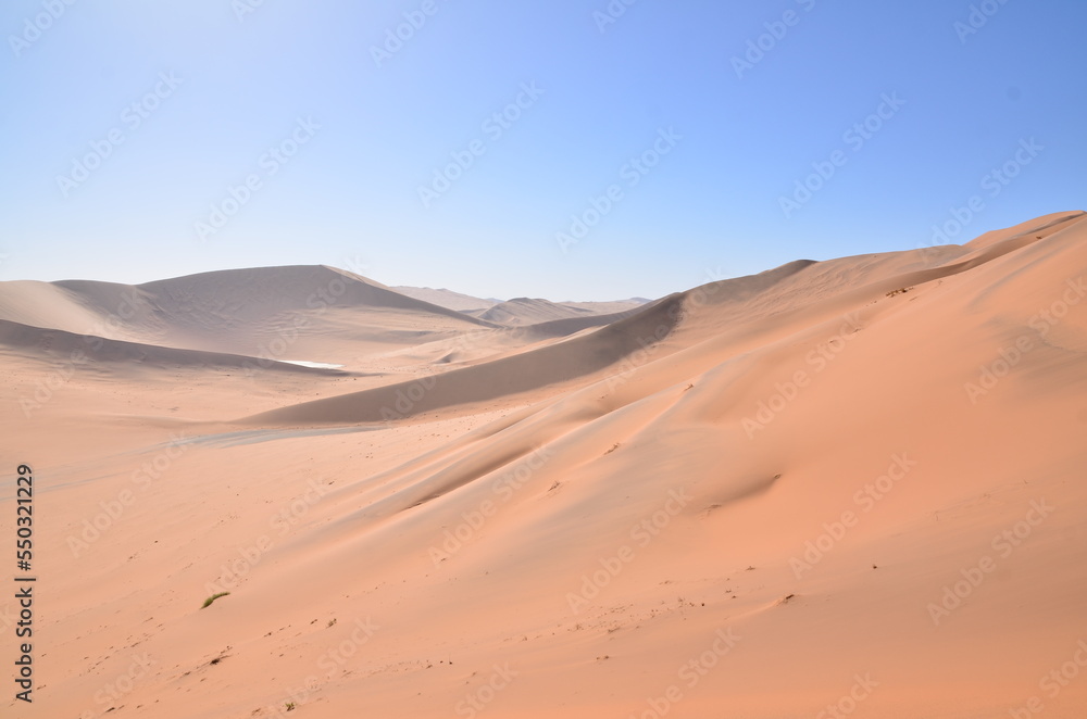 Top of Dune 45 Big Daddy Sand Dune namibia Afrika Blue Sky 