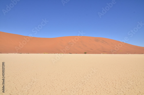 deadvlei sossusvlei Dry pan trees desert Sand dunde Namibia Africa