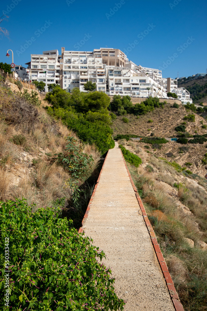 Fototapeta premium Camino en medio de la montaña y sus árboles para poder llegar a una cala escondida de la ciudad de Benidorm en un día de Noviembre.