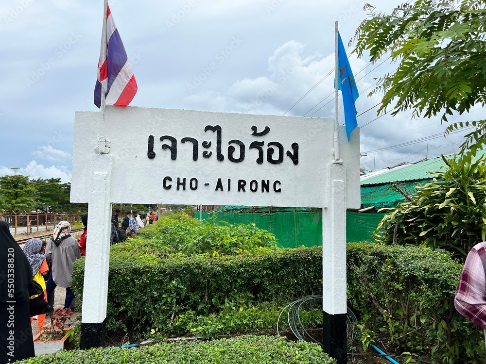 custom made wallpaper toronto digitalwelcome to the beach