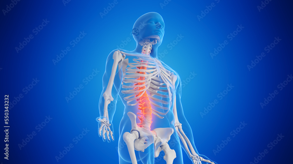 3d rendered medical illustration of a man's spine 3d rendered medical illustration of a man's spine