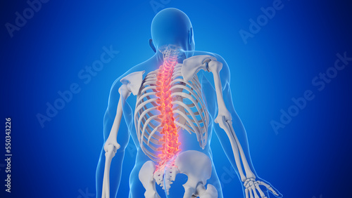 Photography 3d rendered medical illustration of a man's spine