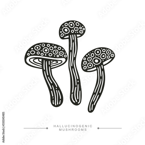 Black and white drawing of psilocybin mushrooms. A group of three toxic magical hallucinogenic mushrooms. Vector illustration