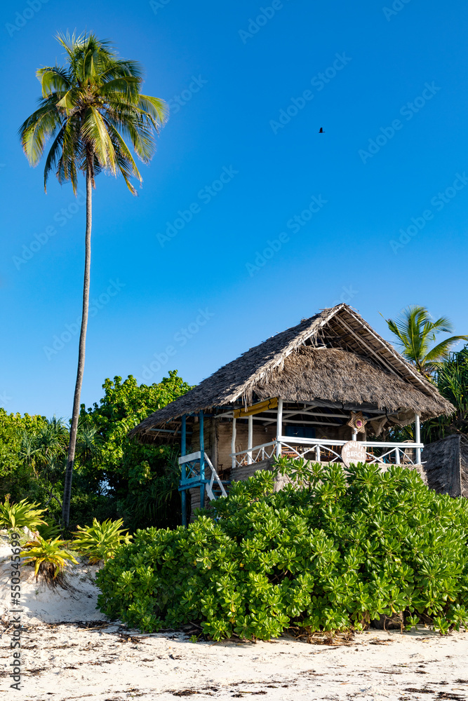 Holzhütte mit Palmen an einem Strand auf der karibischen Insel Sansibar in Tansania und ein blauer Himmel.