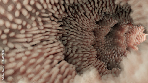 3d rendered medical illustration of intestinal microvilli © Sebastian Kaulitzki