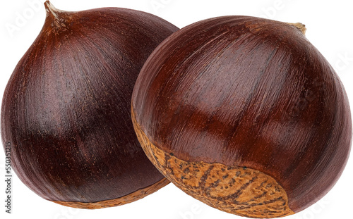 Konstfotografi Chestnut isolated
