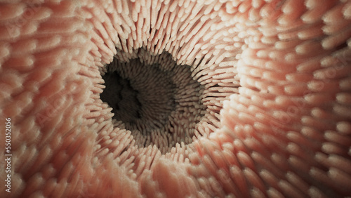 3d rendered medical illustration of intestinal microvilli photo