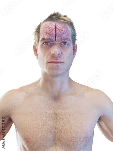 3d rendered medical illustration of a man's brain.