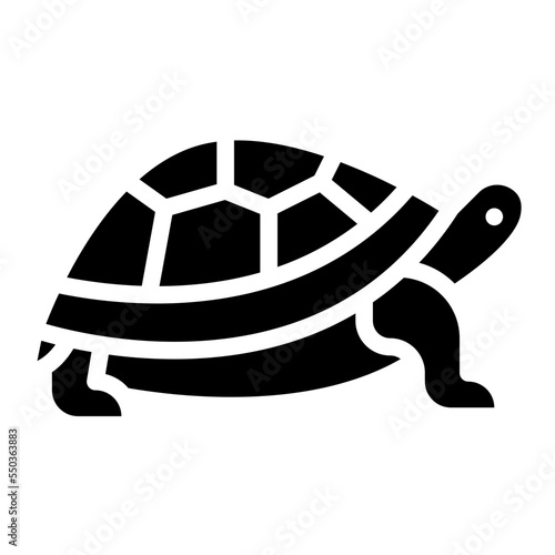 turtle animal zoo wild life icon