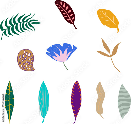 Set of abstract tropical leaves. Vector.