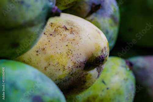 A closeup shot of a pile of ripe mangos at a market