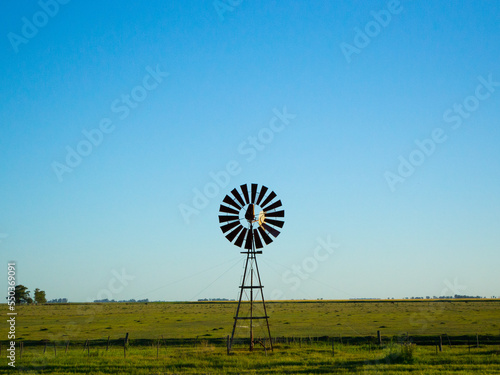 wind mill in the field