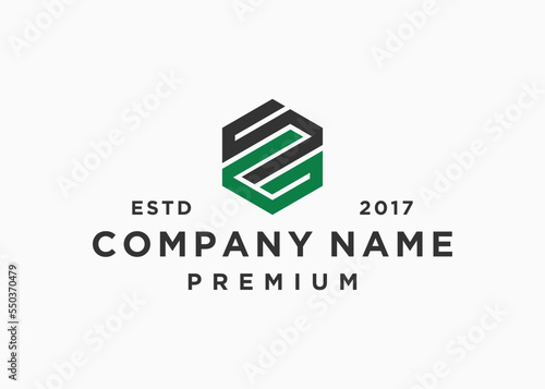 letter sg hexagon logo design vector illustration template