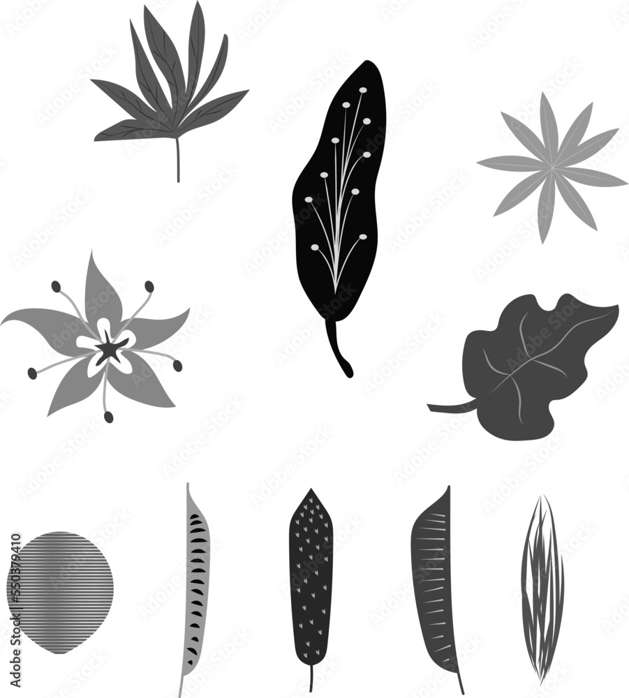 Set of abstract tropical leaves. Vector.