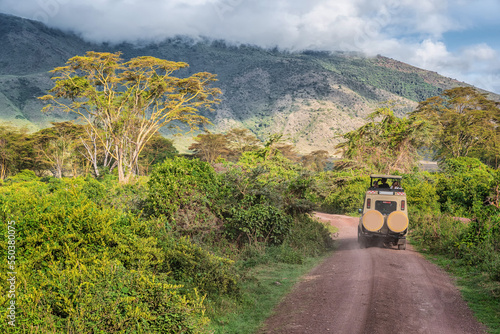 Safari in Ngorongoro Crater. Tanzania, Africa 