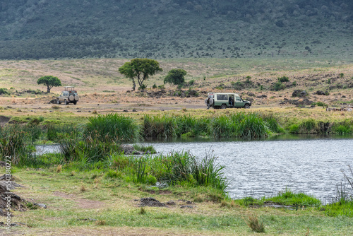 Safari in Ngorongoro Crater. Tanzania  Africa 