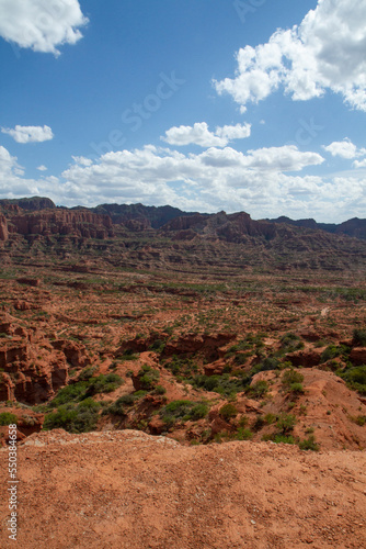 Prehistoric cliffs in Sierra de las Quijadas National Park. Arid desert landscape. Red sandstone  hills  canyon and valley view.