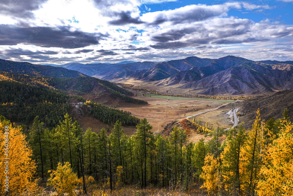 Obraz premium Green valley in the mountains. Yellow plateau in autumn. Golden field and desert in a mountain landscape. 