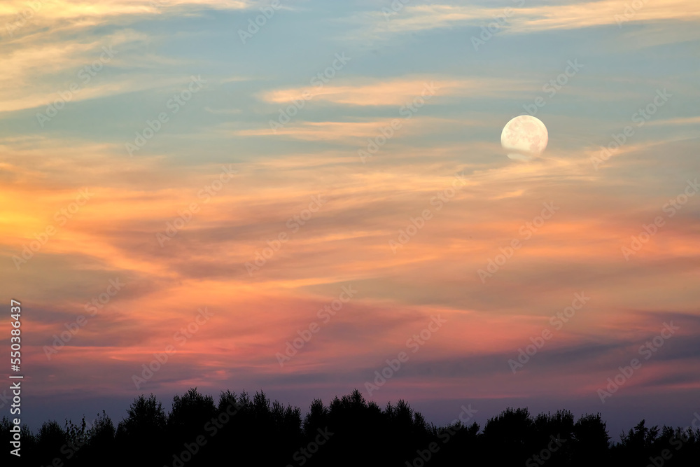 Full moon rising during spring evening with blue and pink sky. Moon in the evening summer sky with pink clouds. Full moon rising during spring evening with blue and pink sky. Moon in the evening summer sky with pink clouds.