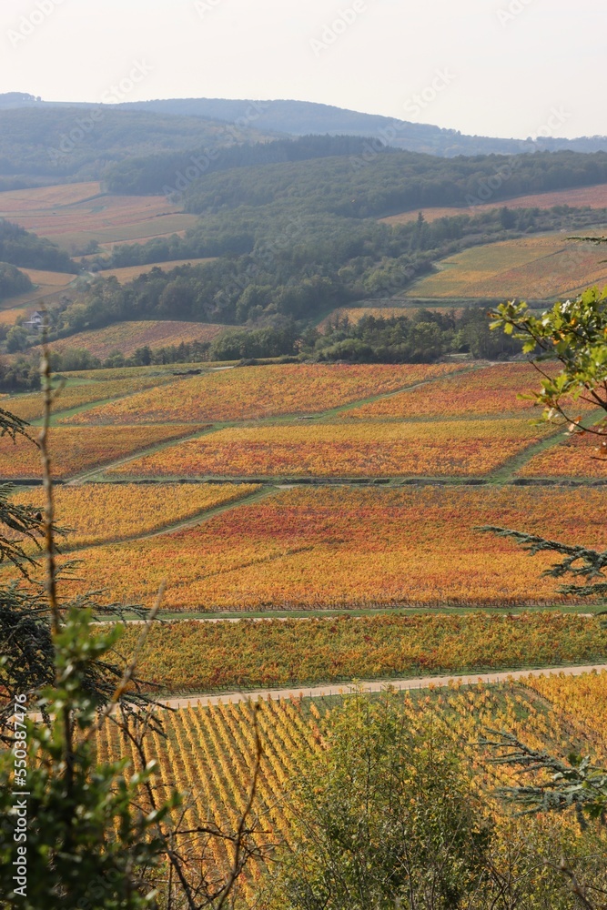 landscape of region Burgundy in October 