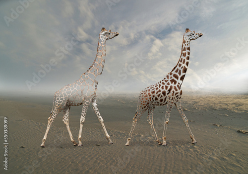 Fototapeta Abstrakcyjne żyrafy