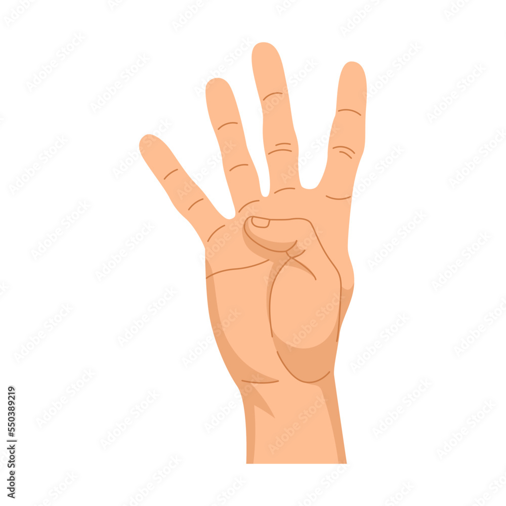 Hand gestures four fingers, number 4. Vector illustration of human palm showing numbers, gesturing signs. Cartoon positions isolated on white Hand gestures four fingers, number 4. Vector illustration of human palm showing numbers, gesturing signs. Cartoon positions isolated on white