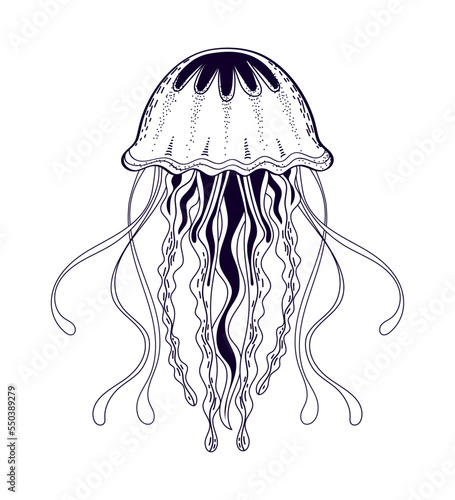 jellyfish sea icon