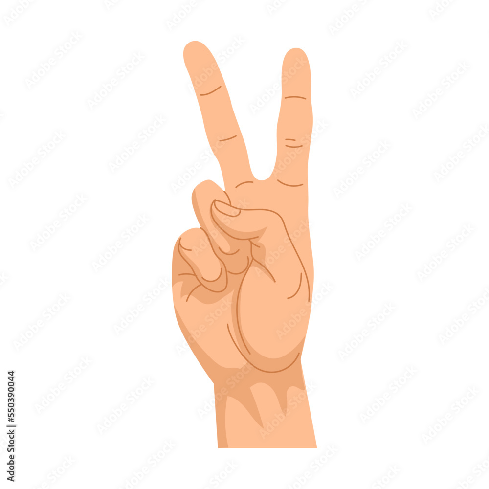 Hand gestures number 2, two fingers up. Vector illustration of human palm showing numbers, gesturing signs. Cartoon peace symbol isolated on white Hand gestures number 2, two fingers up. Vector illustration of human palm showing numbers, gesturing signs. Cartoon peace symbol isolated on white
