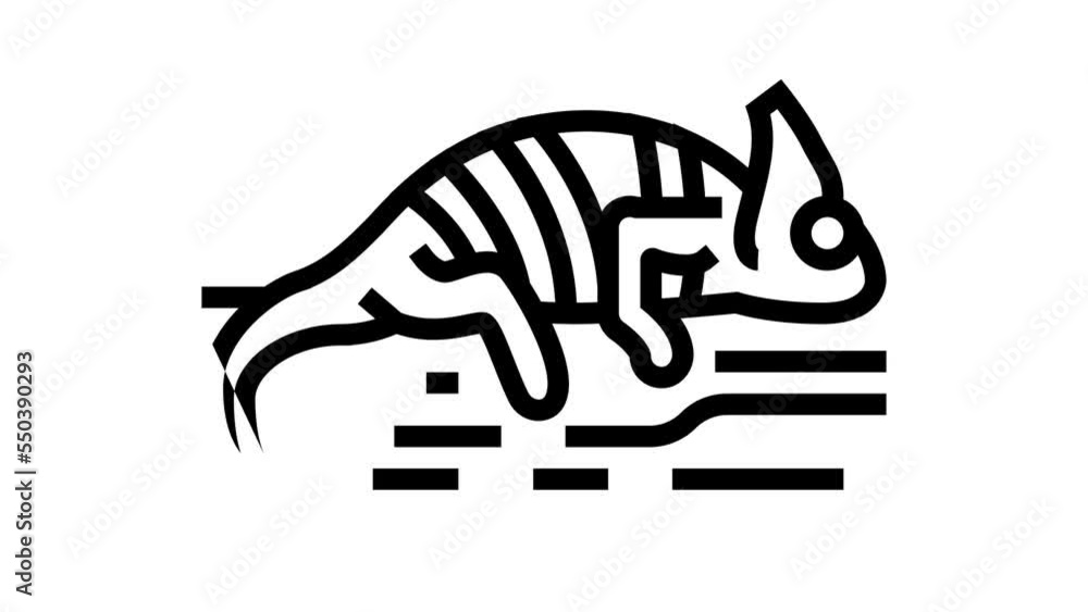 chameleon wild animal line icon animation
