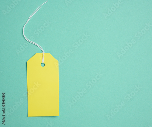 Empty yellow cardboard tag on a white rope, green background. Price tag template
