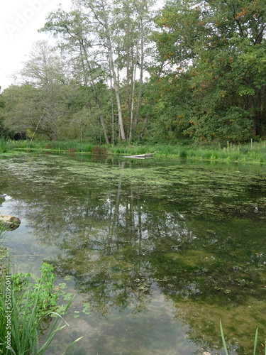 Regional natural reserve Val et coteau de Saint-Remy - Saint-remy-les-chevreuse - Yvelines - Ile-de-France - France photo