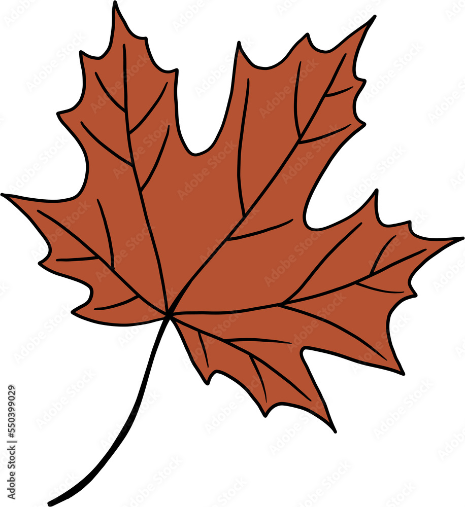 Naklejka premium simplicity maple freehand drawing flat design.