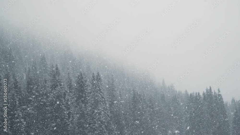 Christmas holiday background. Winter scene. Snowfall in winter forest Christmas holiday background. Winter scene. Snowfall in winter forest