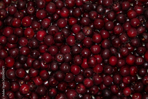 Background of red ripe cherries. View from above.