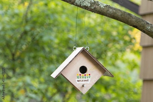 Fotografie, Obraz Wooden birdhouse hanging with a thin rope to a tree branch in the garden with bl