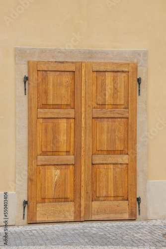 Closed restored double-leaf wooden door on antique hinges in the facade of an old building