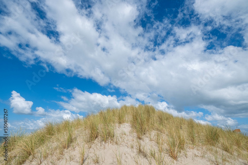 Marker Wadden photo