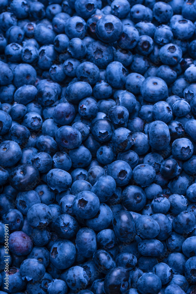 Fresh blueberry background. Texture blueberry berries close up. Fresh blueberry background. Texture blueberry berries close up.