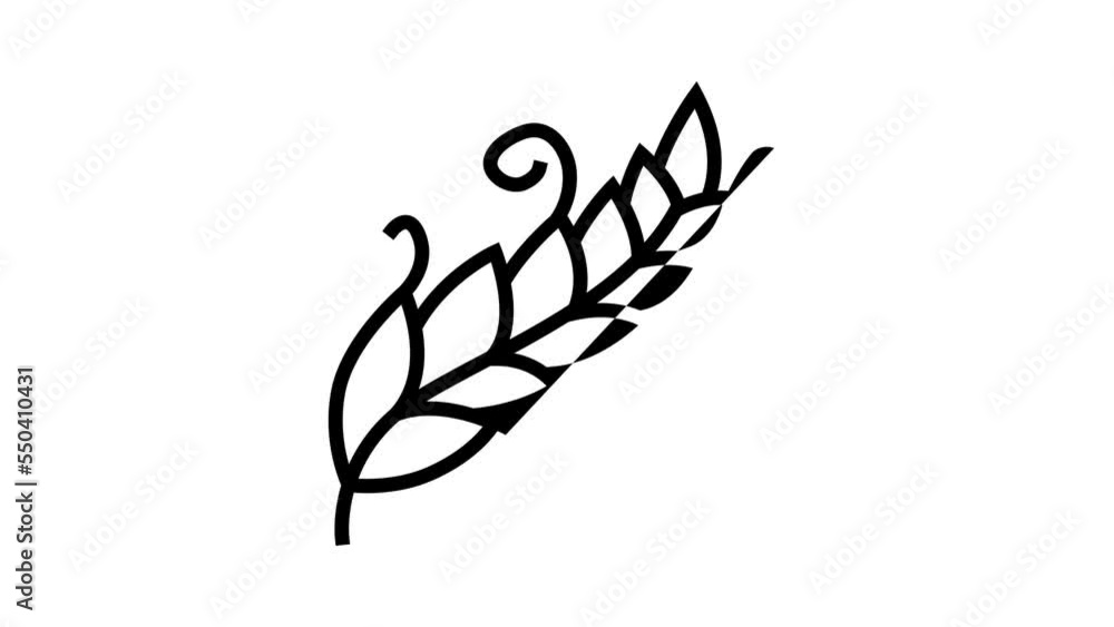 art feather soft fluffy line icon animation art feather soft fluffy line icon animation