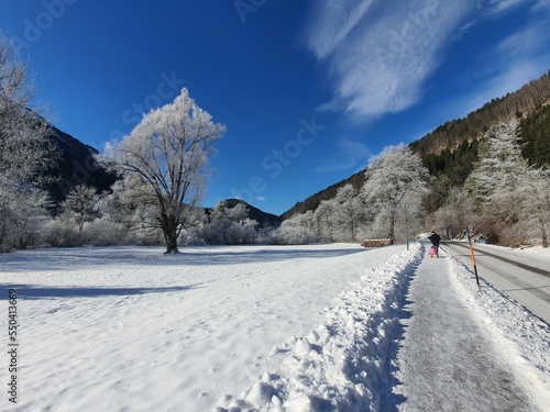 Wonderful and idyllic winter scenery in lunz in austria. nearby lake lunz. winter holiday concept
