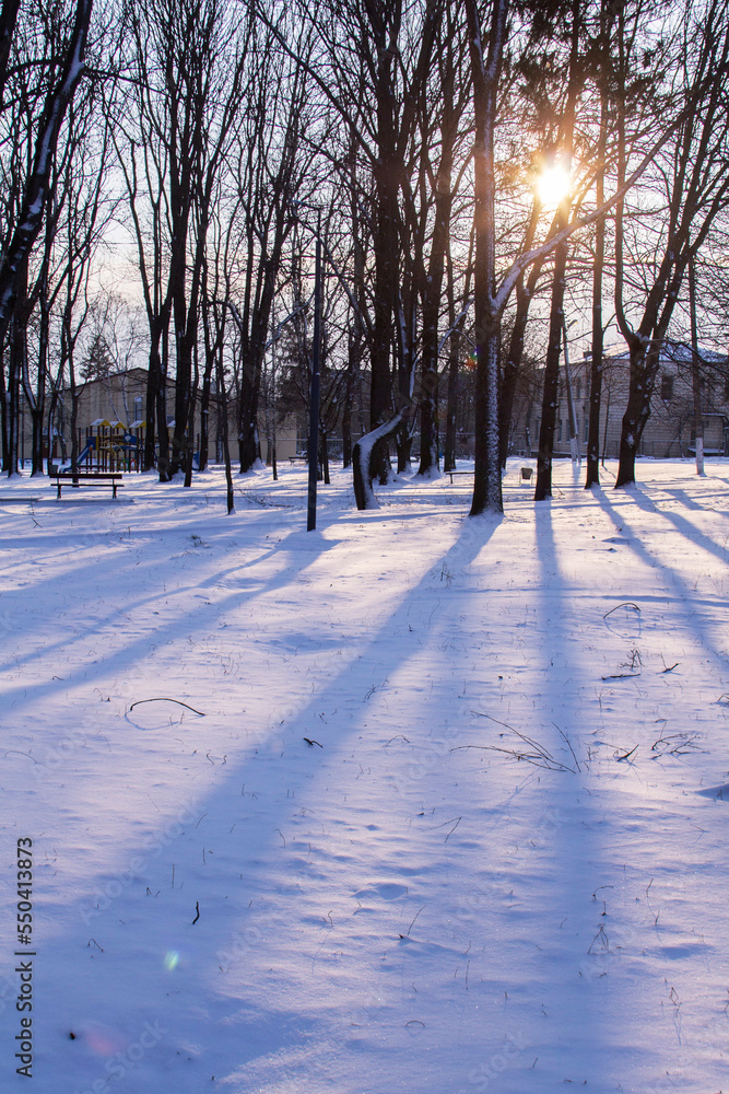 Winter landscape in the rays of the setting sun. City park.